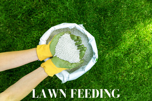 Learn More Nature's Calling Lawn Fertilization