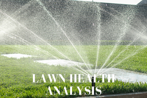 LEARN MORE Nature's Calling Lawn Health Assessment