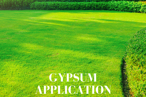 LEARN MORE Gypsum for Lawns