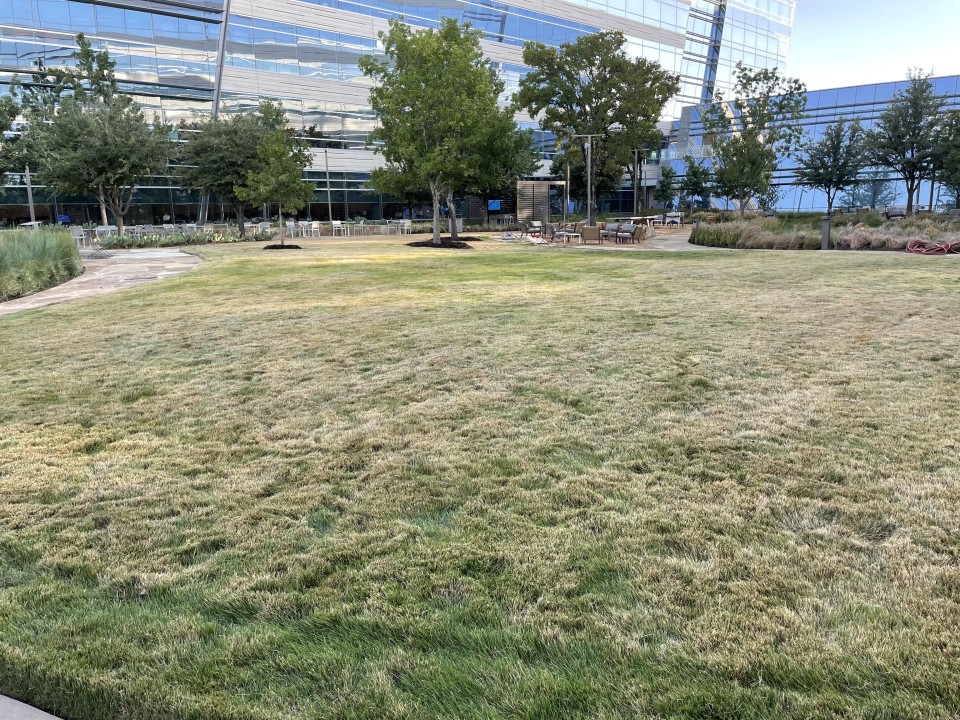 Natures Calling Lawn Treatment